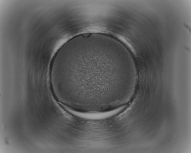 X0000098161469200804241752