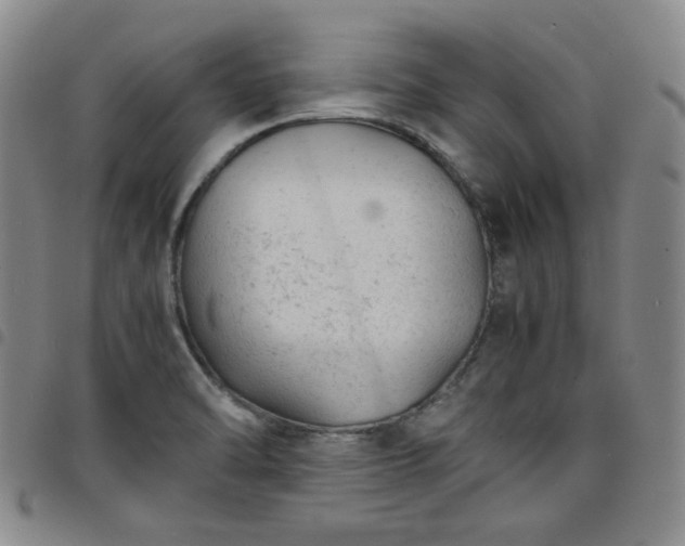 X0000098161470200804241752