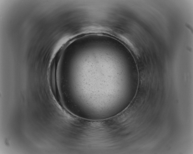 X0000098161472200804241752