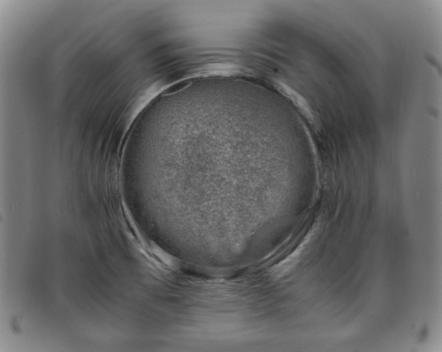 X0000098161473200804241752