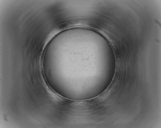 X0000098161474200804241752
