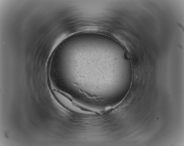 X0000098161475200804241752
