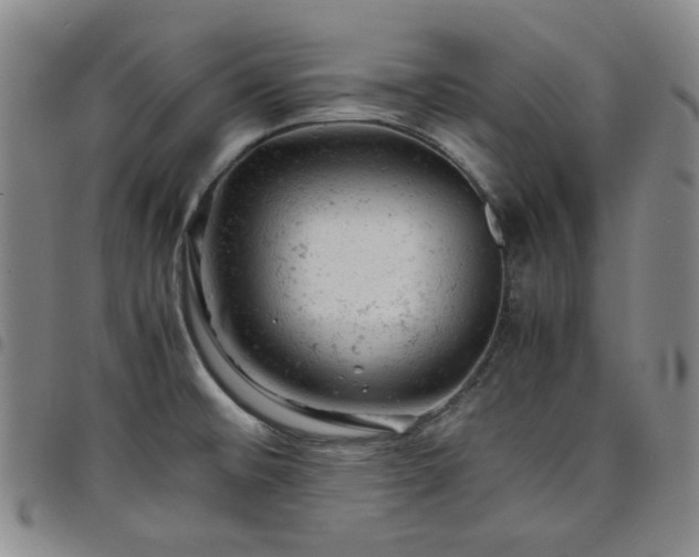 X0000098161476200804241752
