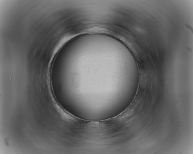 X0000098161478200804241752