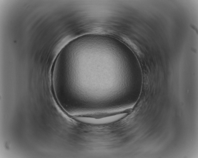 X0000098161479200804241752