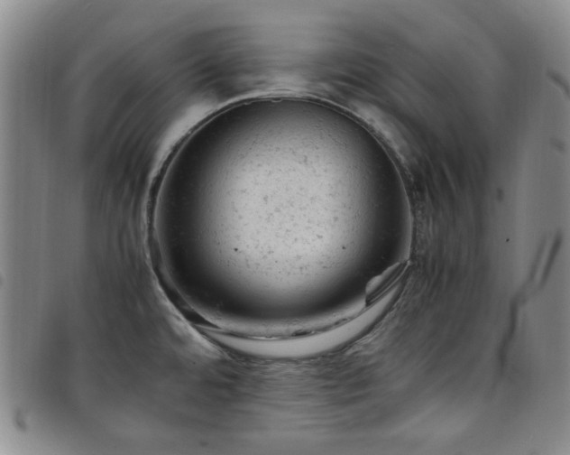 X0000098161480200804241752