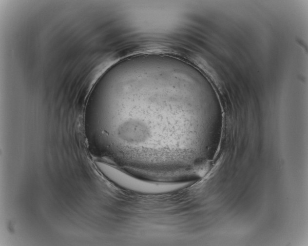 X0000098161481200804241752