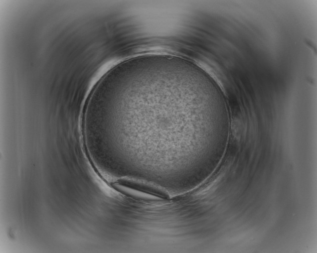 X0000098161482200804241752