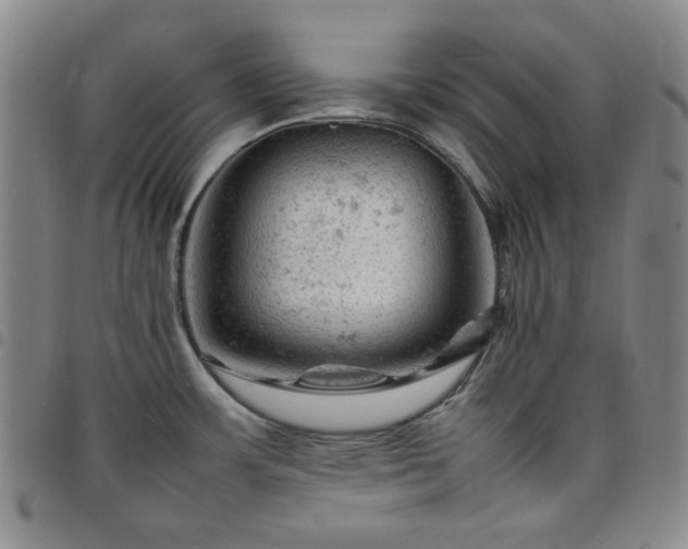 X0000098161483200804241752