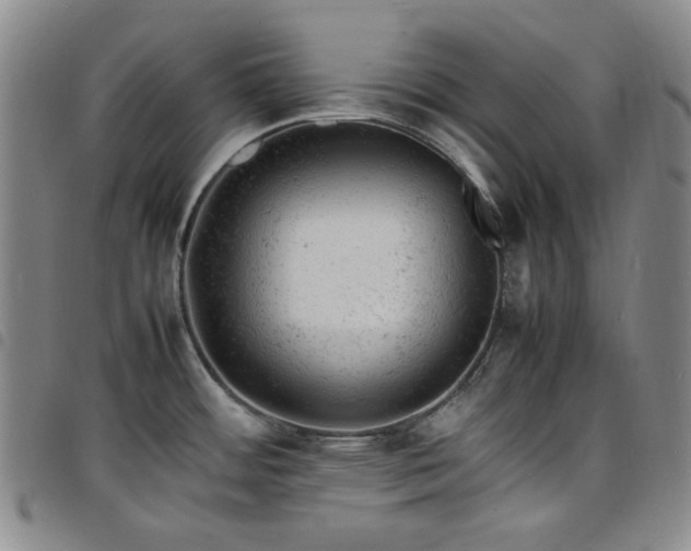 X0000098161484200804241752