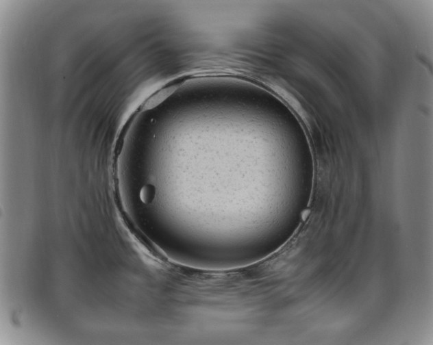 X0000098161485200804241752