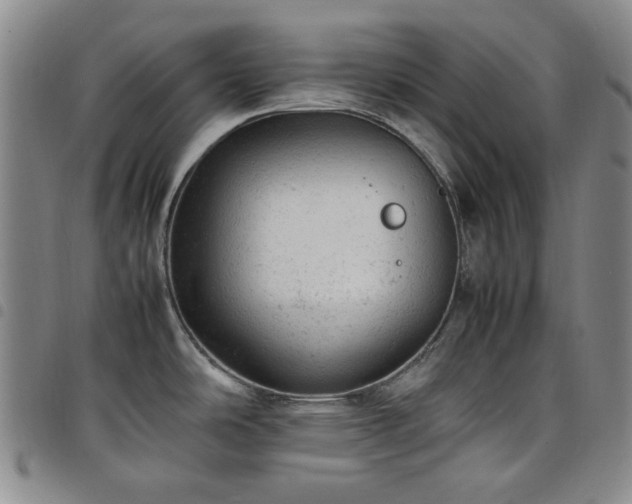 X0000098161486200804241752