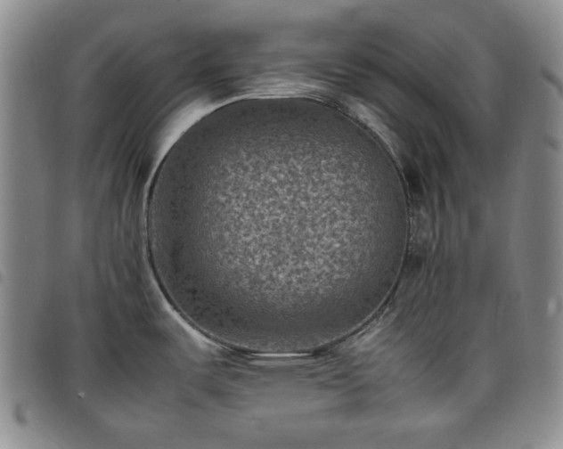X0000098161487200804241752