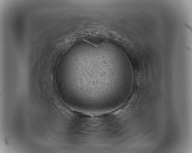 X0000098161489200804241751