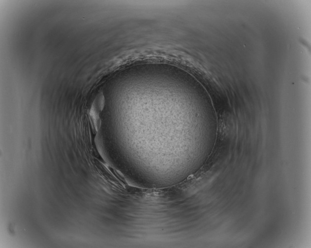X0000098161490200804241751
