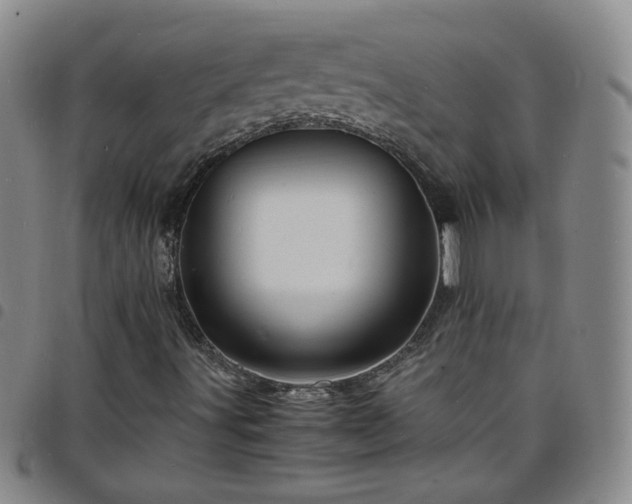 X0000098161491200804241751