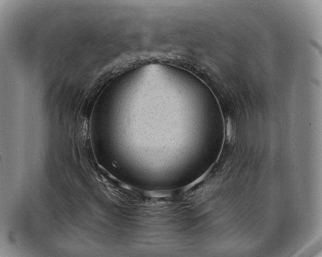 X0000098161492200804241751