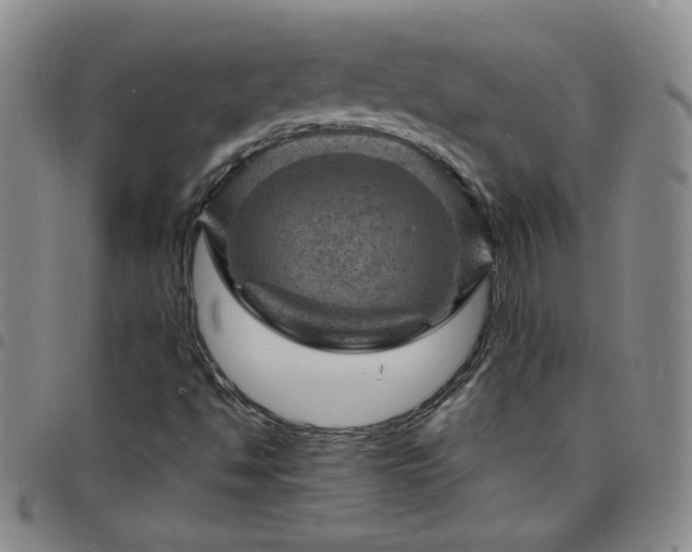 X0000098161494200804241751