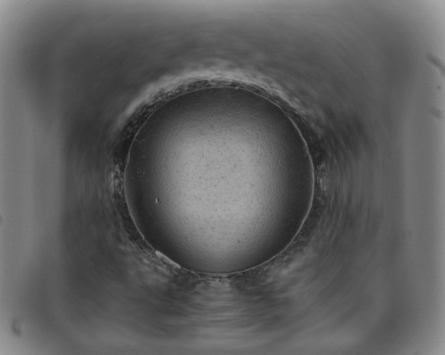 X0000098161495200804241751
