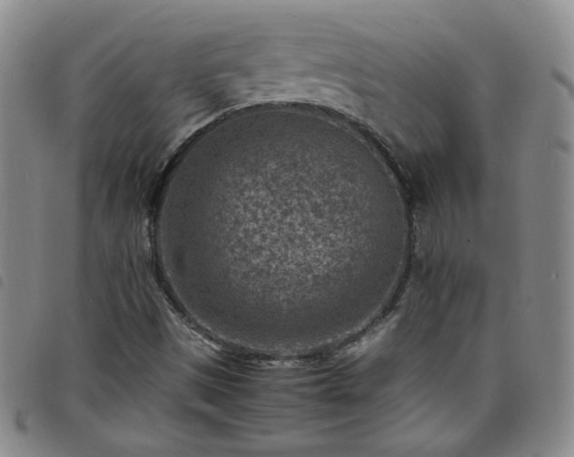 X0000098161497200804241751