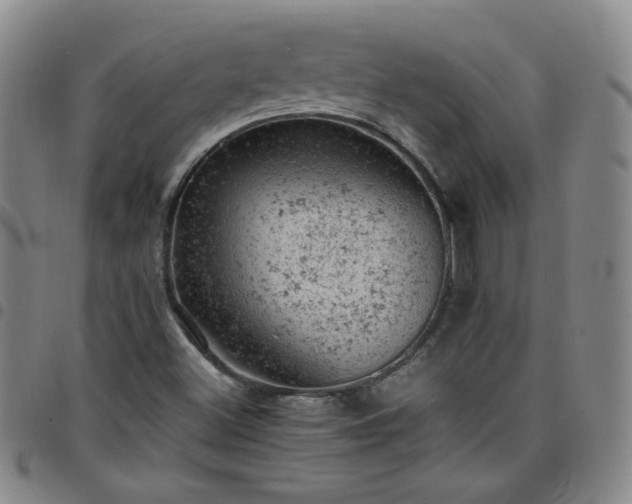 X0000098161500200804241751
