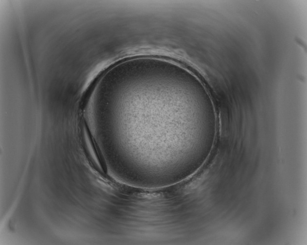 X0000098161501200804241751