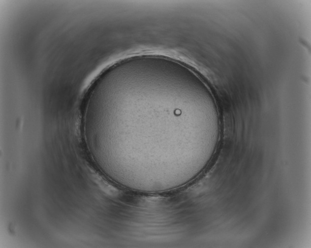 X0000098161502200804241751