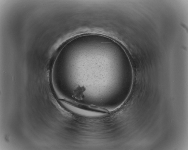 X0000098161503200804241751