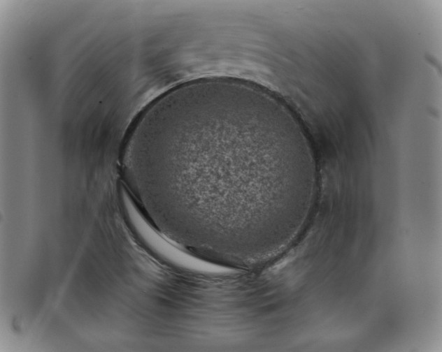 X0000098161505200804241751