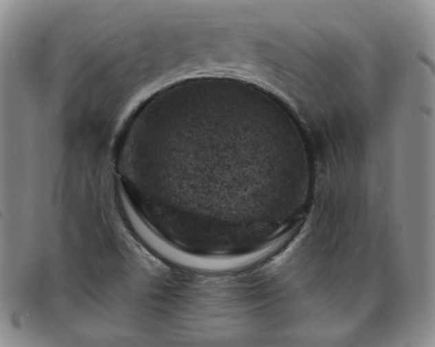 X0000098161506200804241751
