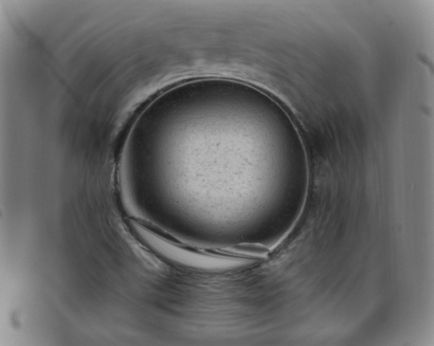 X0000098161507200804241751