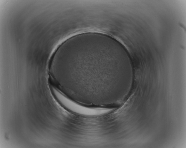 X0000098161508200804241751