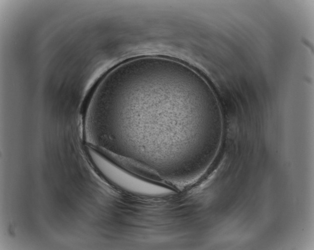 X0000098161509200804241751