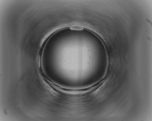 X0000098161510200804241751