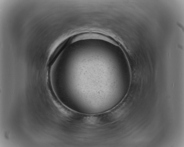 X0000098161511200804241751