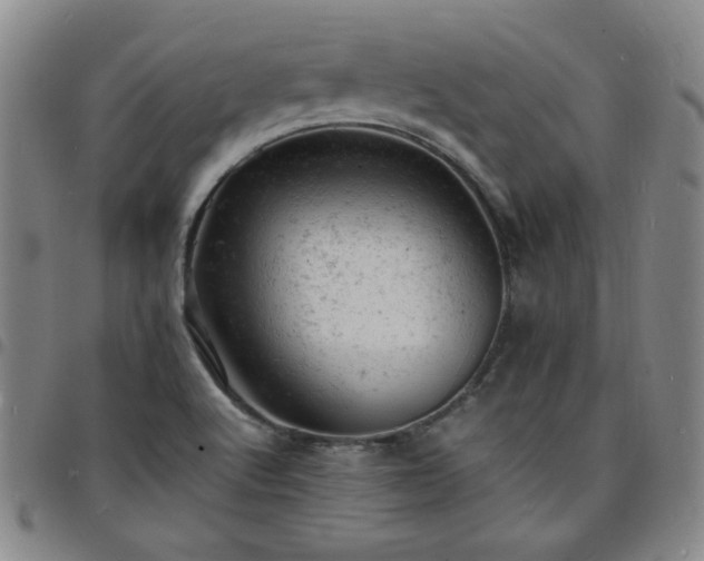 X0000098161512200804241751