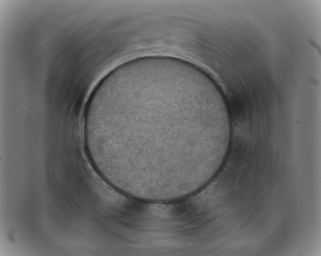 X0000098161514200804241751