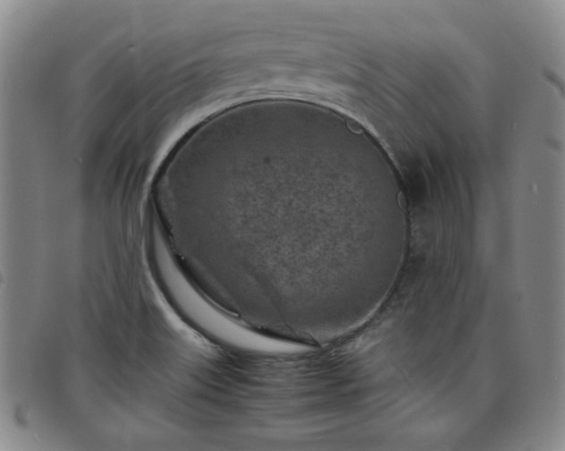 X0000098161515200804241751