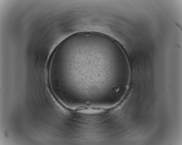 X0000098161517200804241751