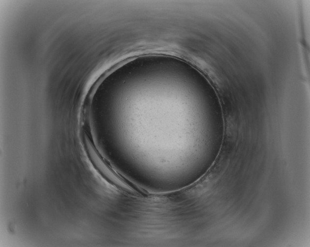 X0000098161520200804241751