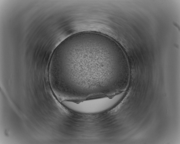 X0000098161521200804241751