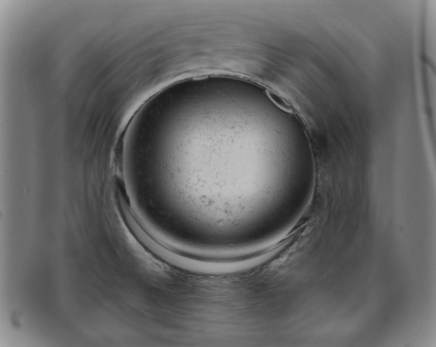 X0000098161524200804241751