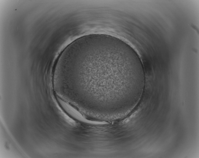 X0000098161525200804241751
