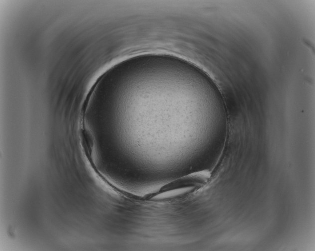 X0000098161526200804241751