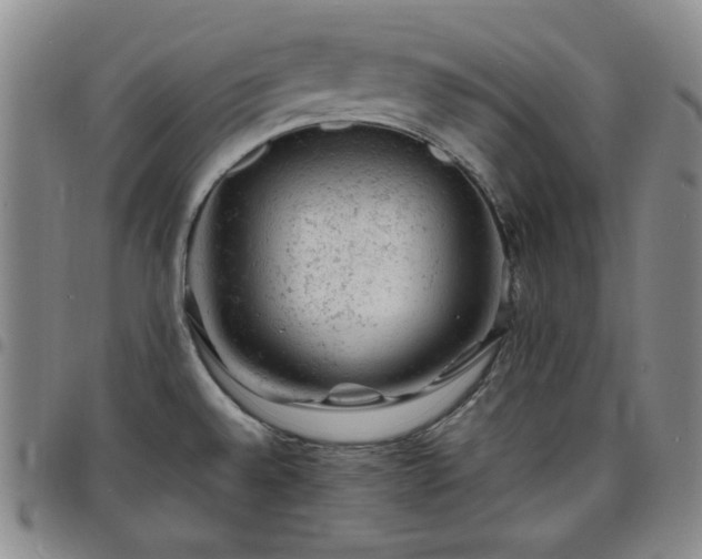 X0000098161528200804241751
