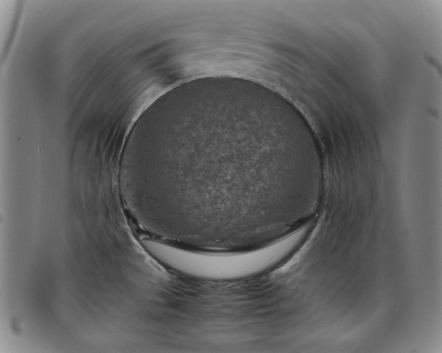 X0000098161529200804241751