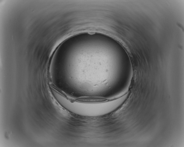 X0000098161530200804241751