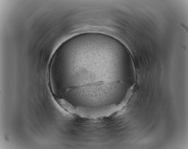 X0000098161531200804241752