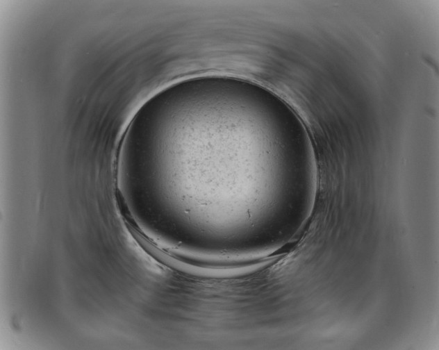 X0000098161532200804241752