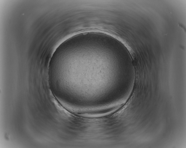 X0000098161534200804241752